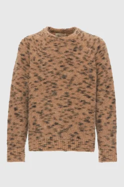 Roundneck Pongo