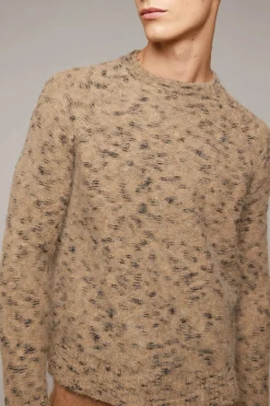 Roundneck Pongo