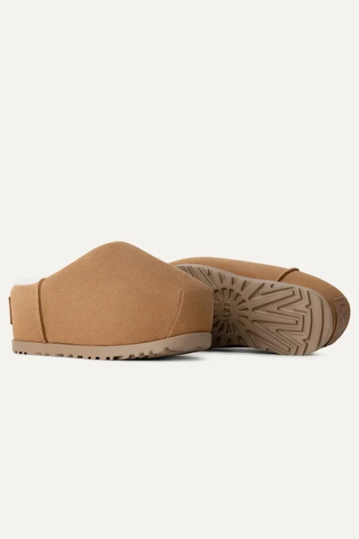 Slides Plumped