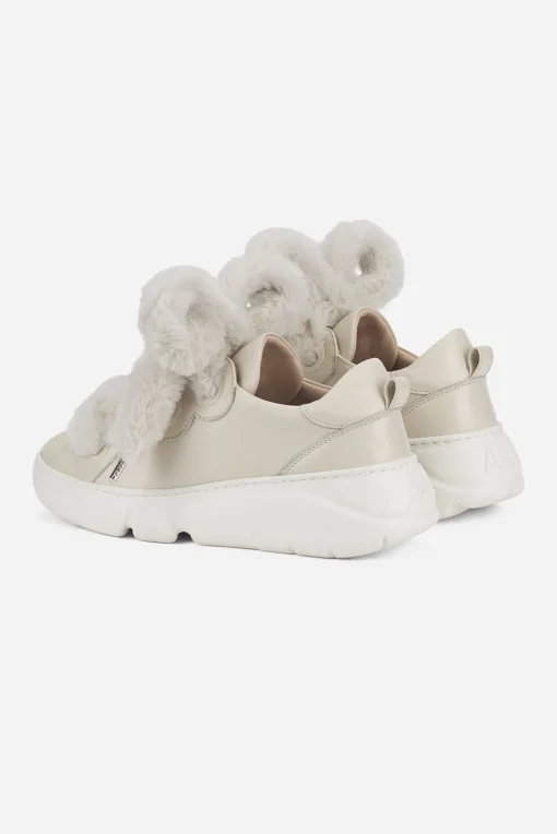 Sneaker Bubble