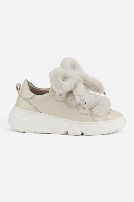 Sneaker Bubble